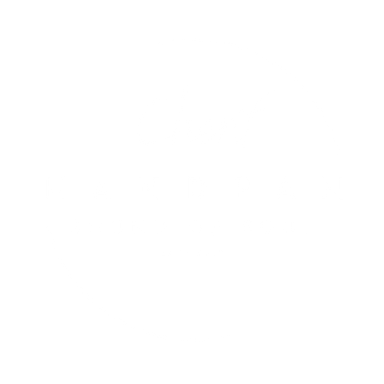 www.handpan-soundofsoul.de